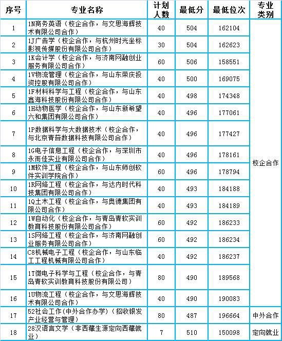 临沂大学商务英语_临沂大学商务英语专业要求_临沂大学商务英语本科学什么