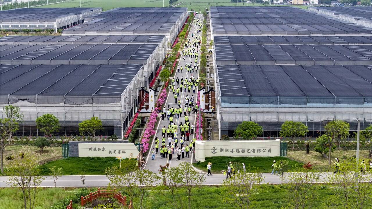 英语北京怎么写_英语北京版_北京英语