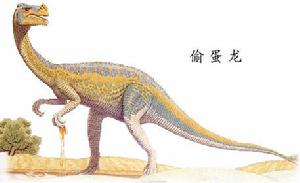 鸭嘴龙类恐龙
