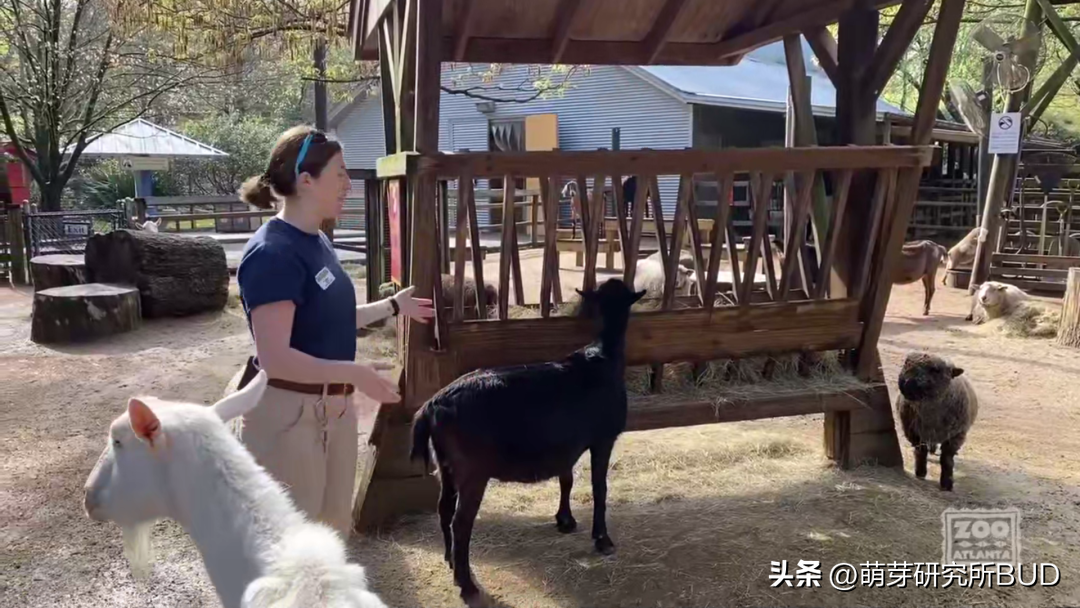 免费英语学习网站_哪个网站免费学习旅游日常英语_那个网站可以免费学习英语