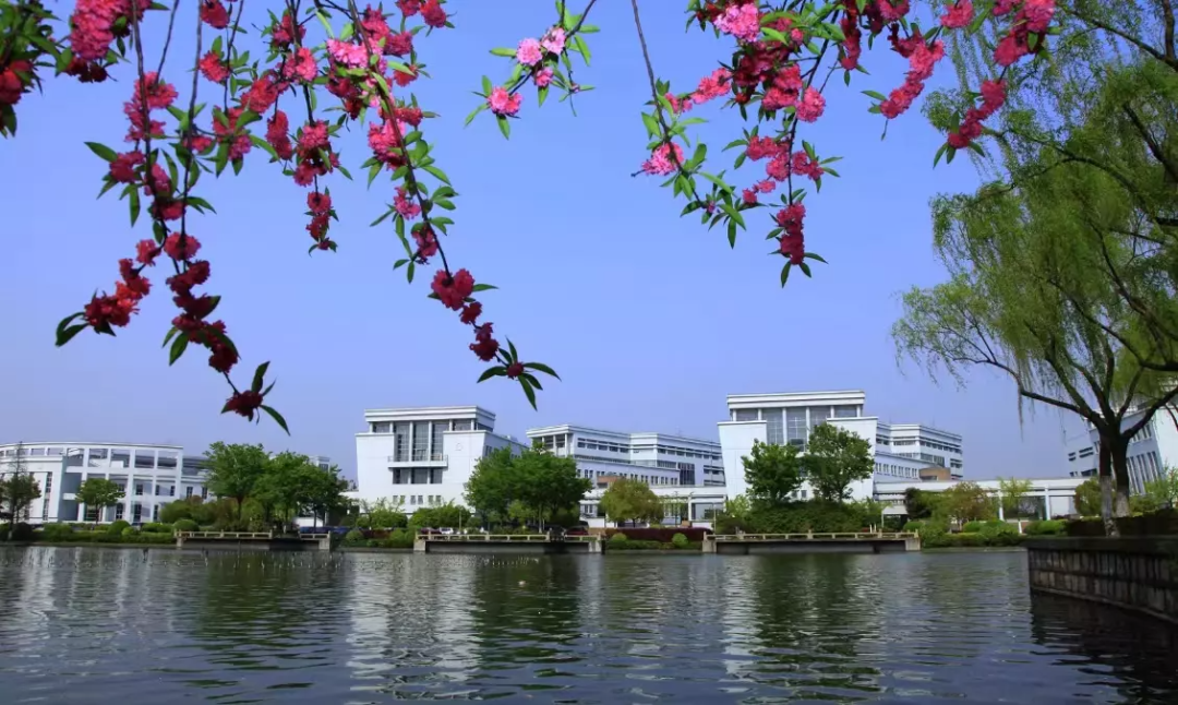 大学哪些专业不学英语_大学什么专业一定要英语_上海大学英语专业