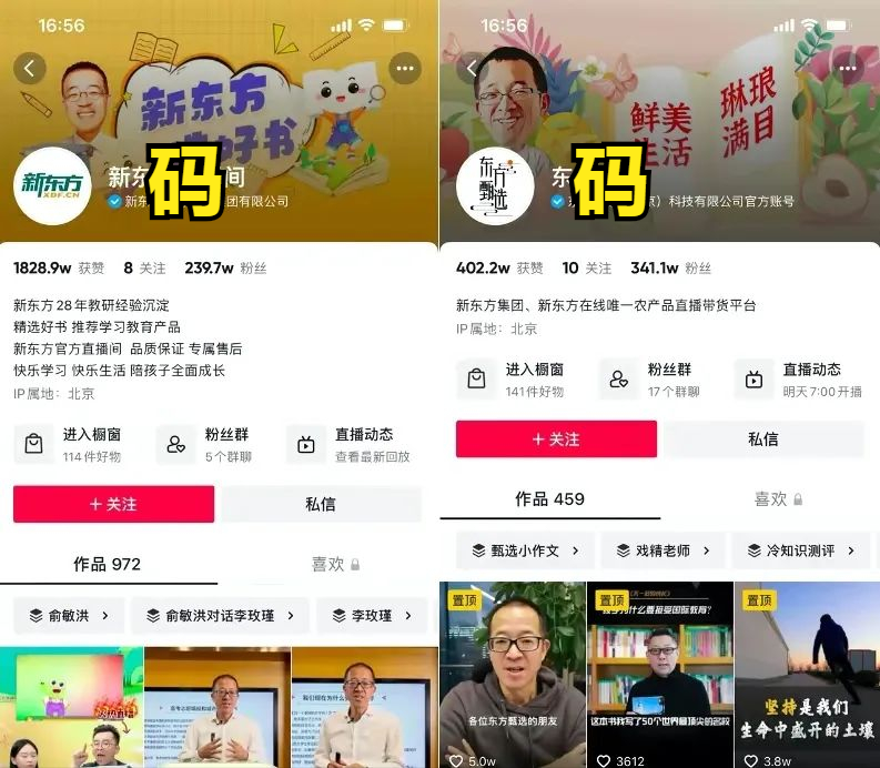 初中英语哪个辅导机构好_英语辅导班哪个比较好_英语班训班哪个机构比较