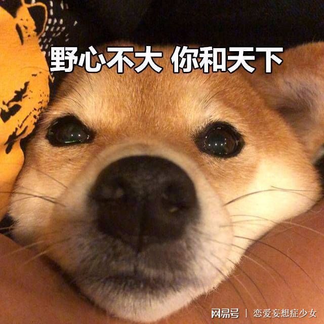 社交平台英语_社交英语平台有哪些_社交英语平台推荐