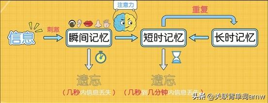 考研单词背英语软件好用吗_考研英语背单词最好的软件排名_考研英语背单词软件哪个好