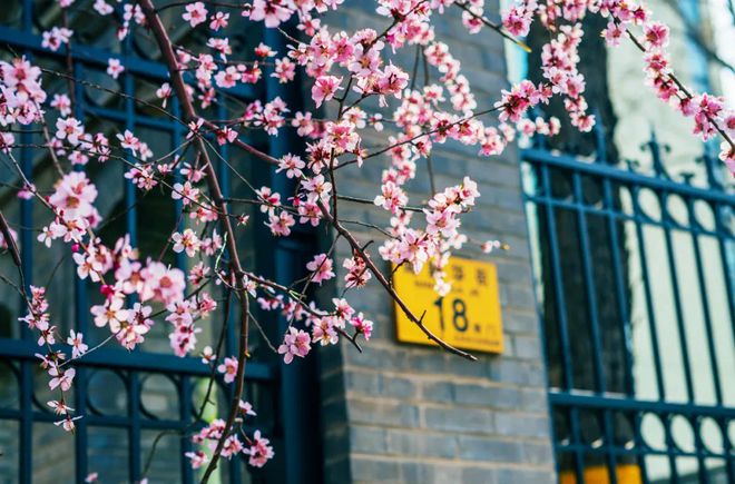 课程英语体系包括哪些_英语课程体系是什么意思_英语课程体系