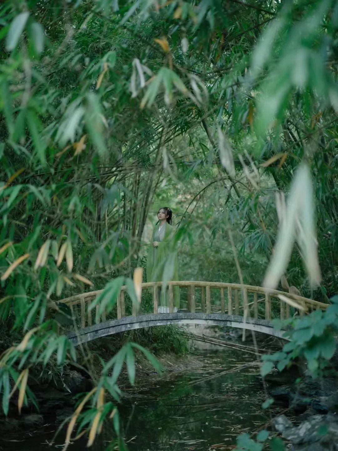 汉服爱好者身穿汉服直裾加大袖衫在华南国家植物园拍照片。受访者供图