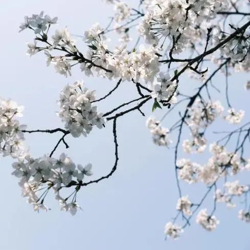 华师大考研_华师大有一对一外教吗_师大汇华学院分数线