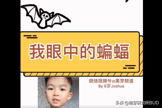 上网课的日子，这些习惯养成是学习力的源泉